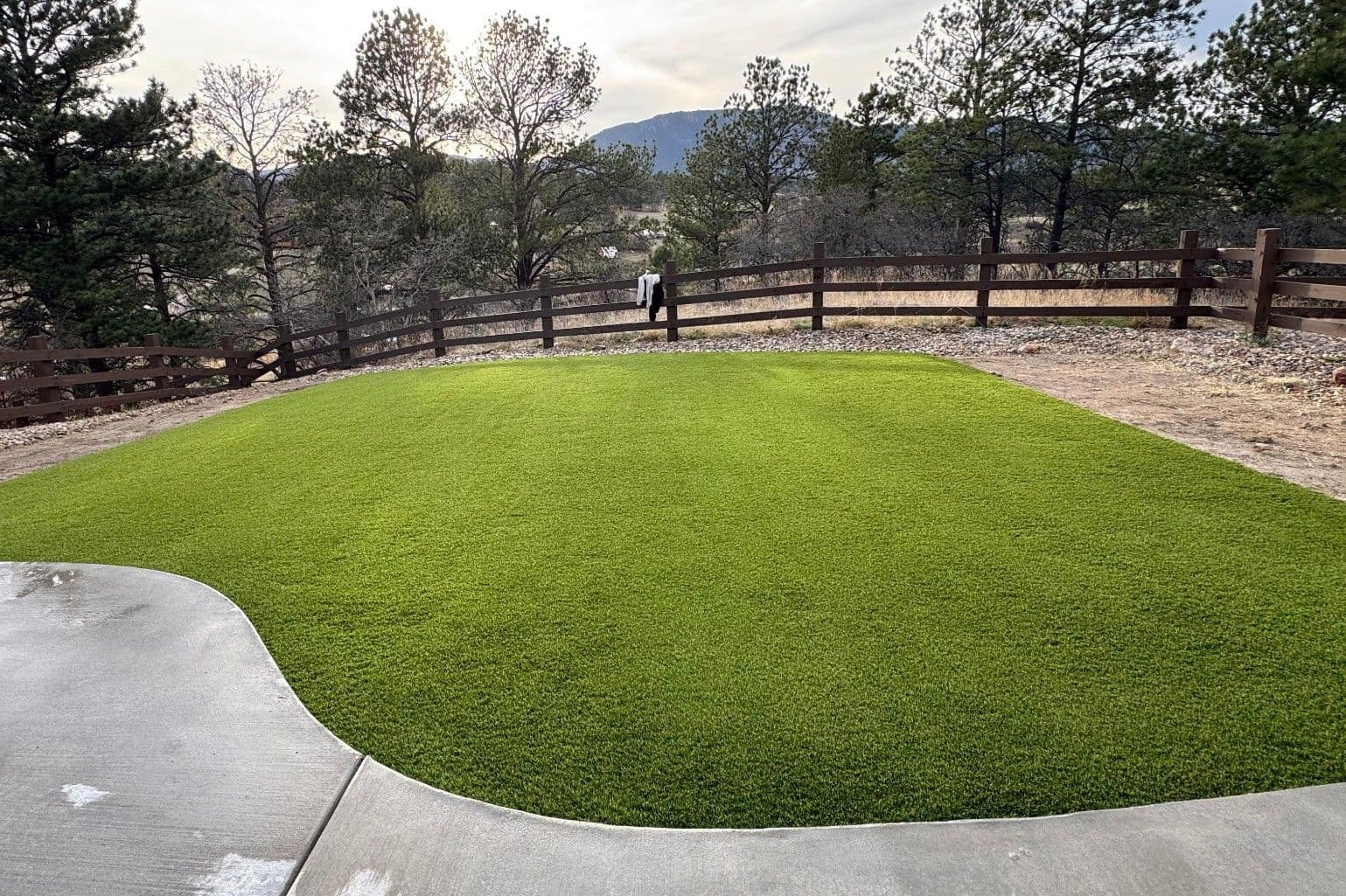 Monument Backyard Gets a Clean Artificial Turf Lawn image