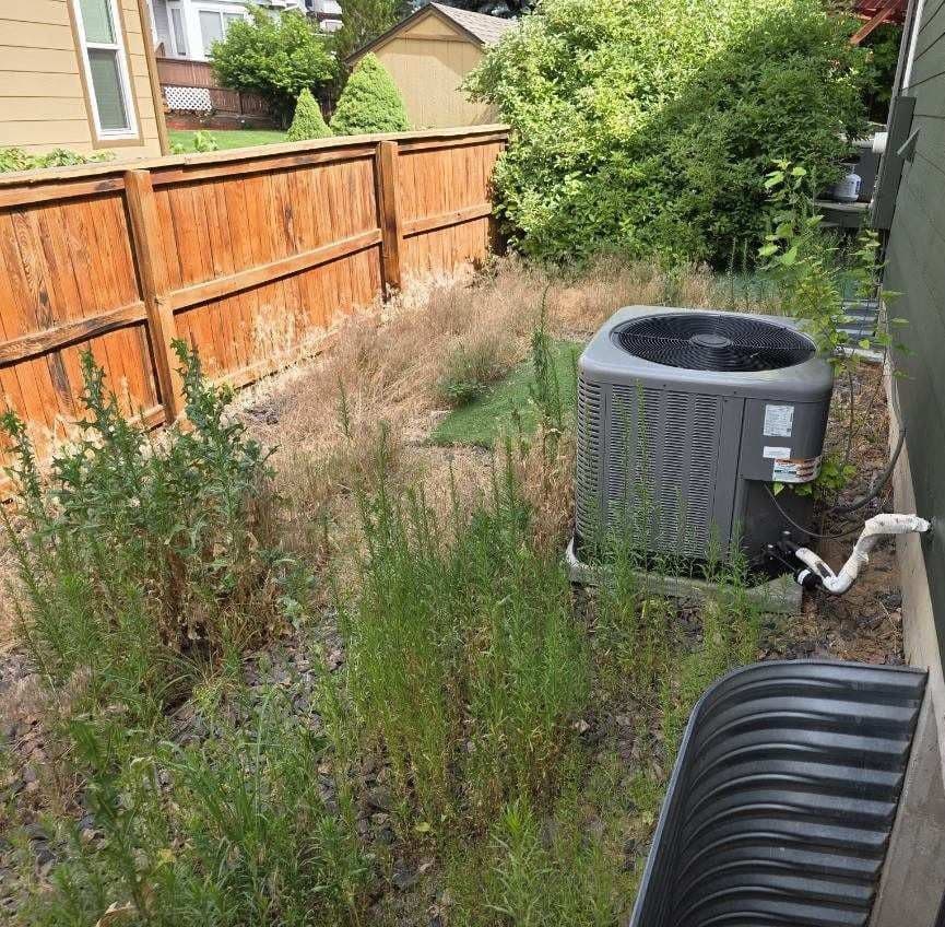 Gallery photos for Pet-Friendly Turf Installation Across All 3 Sides of This Backyard: Image #5