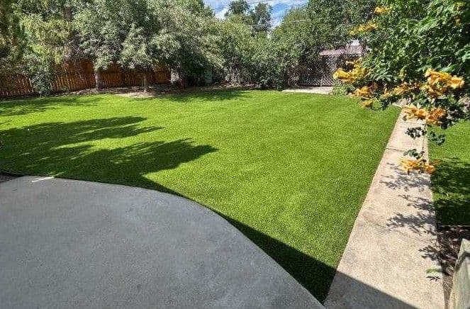 Project Pet-Friendly Artificial Turf Installation in Denver Backyard image