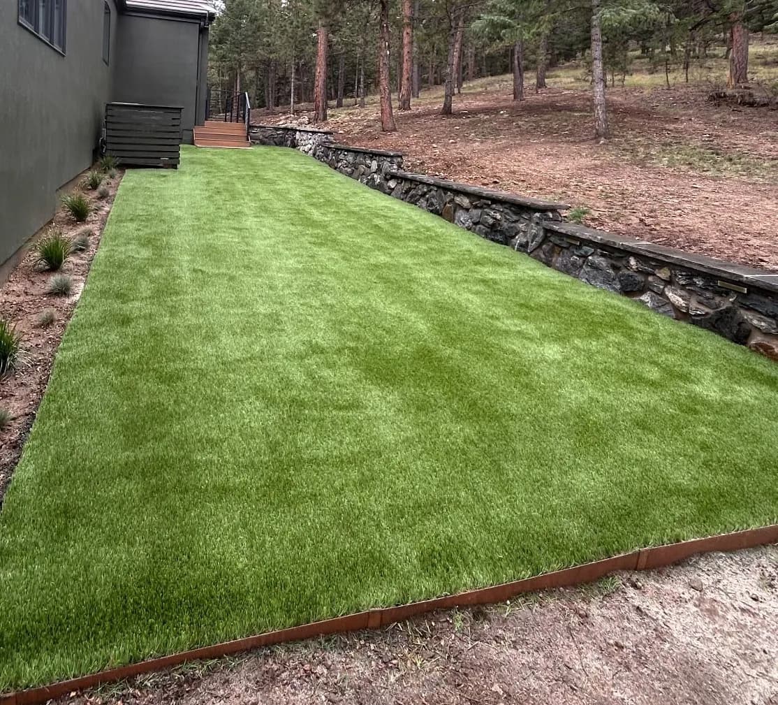 Artificial Turf Dog Run at a Mountain Home That Stays Clean Year-Round image