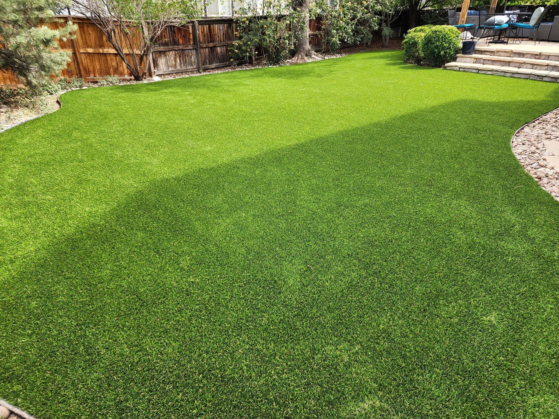 Dog-friendly, drought-friendly backyard turf that actually works image