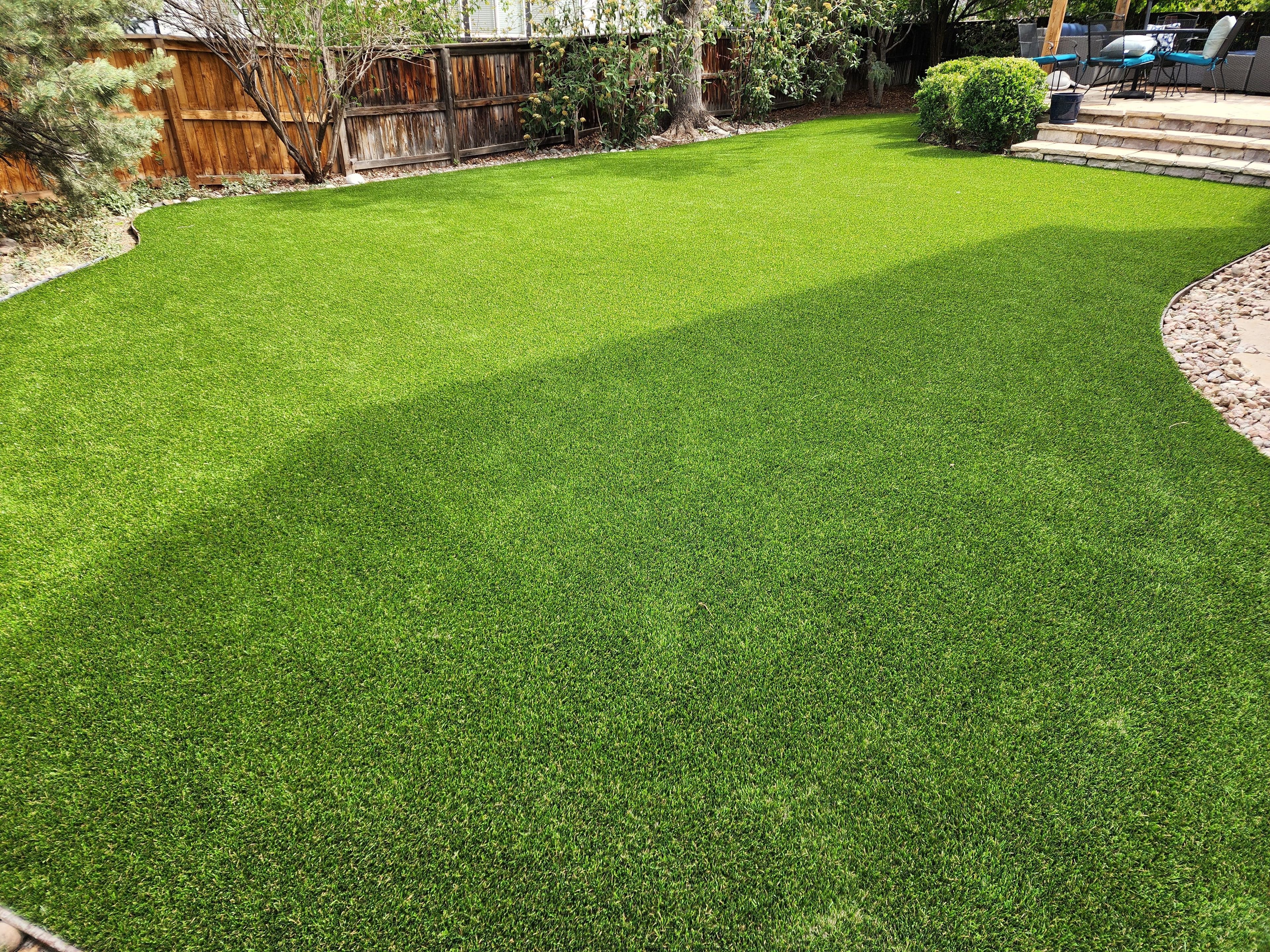 Project Dog-friendly, drought-friendly backyard turf that actually works image
