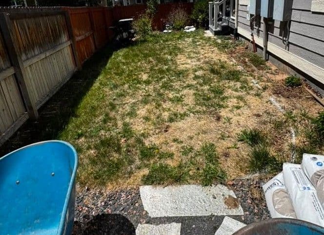 Gallery photos for Dead Side Yard Gets a Second Life With Artificial Turf in Parker: Image #1