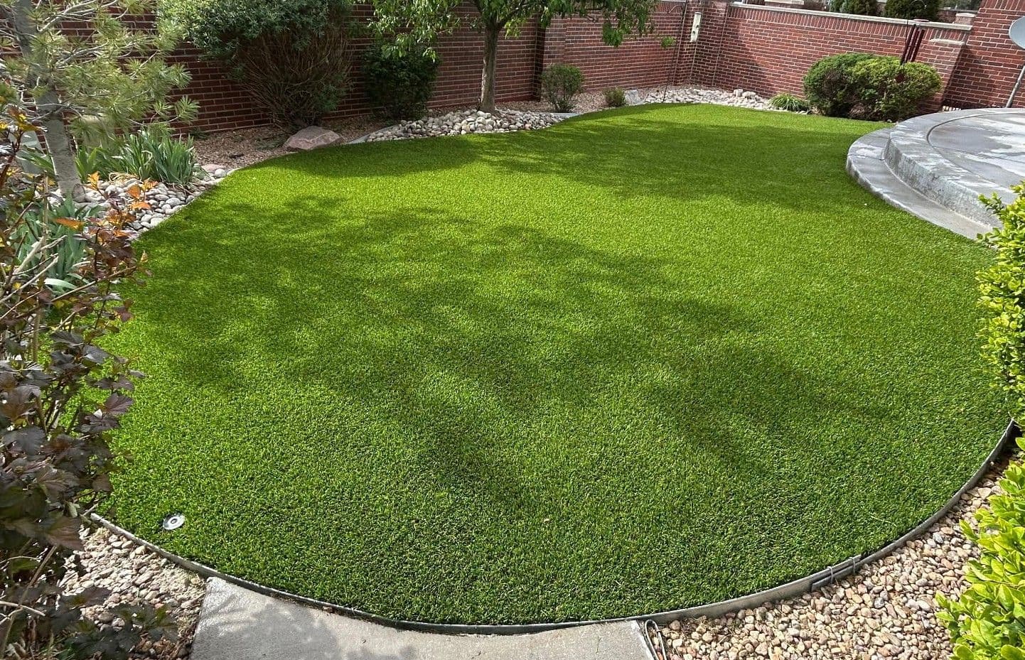 Backyard Artificial Turf Installation with Curved Edge in Littleton image