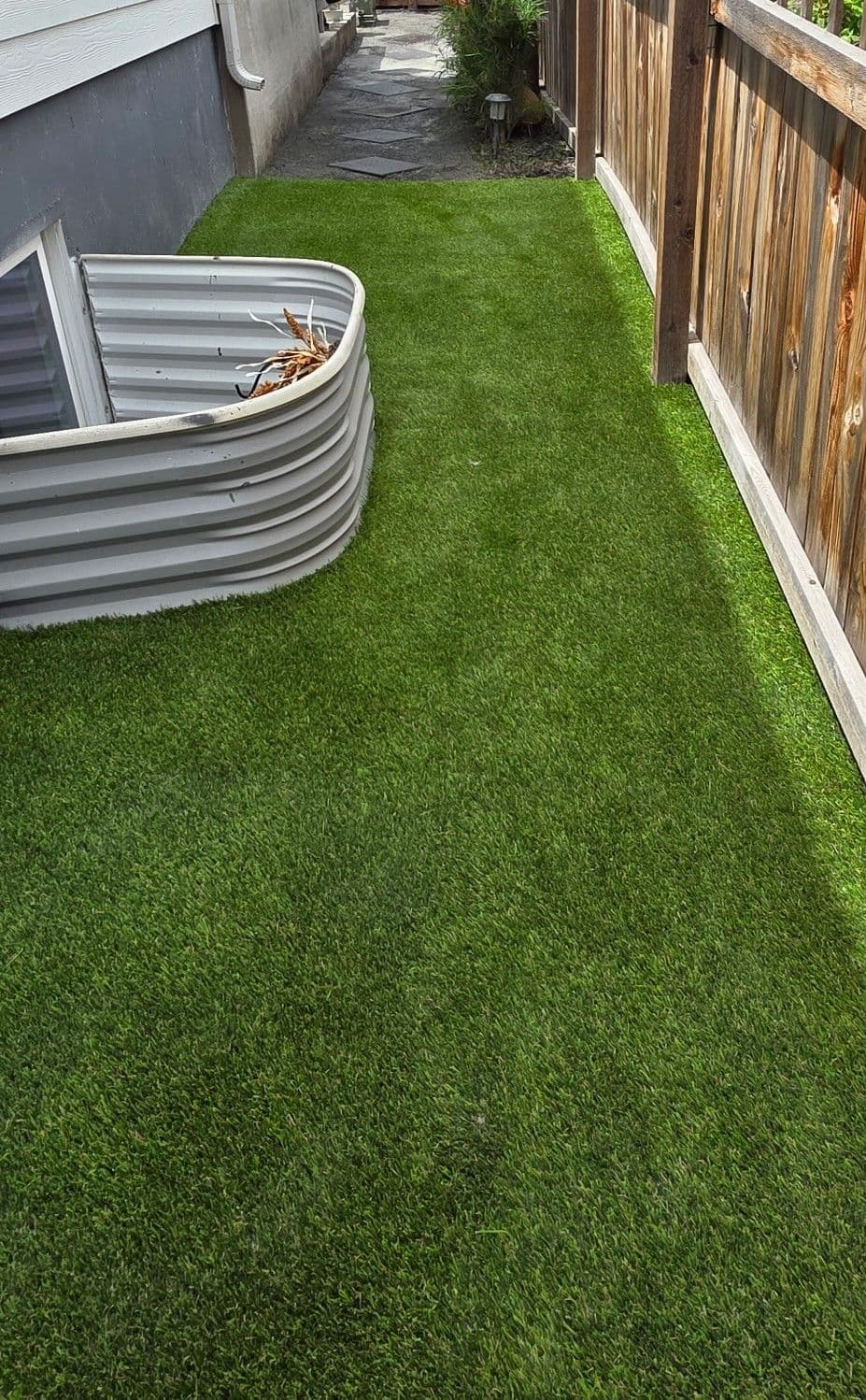 Side Yard Turned Dog-Friendly Turf Area image