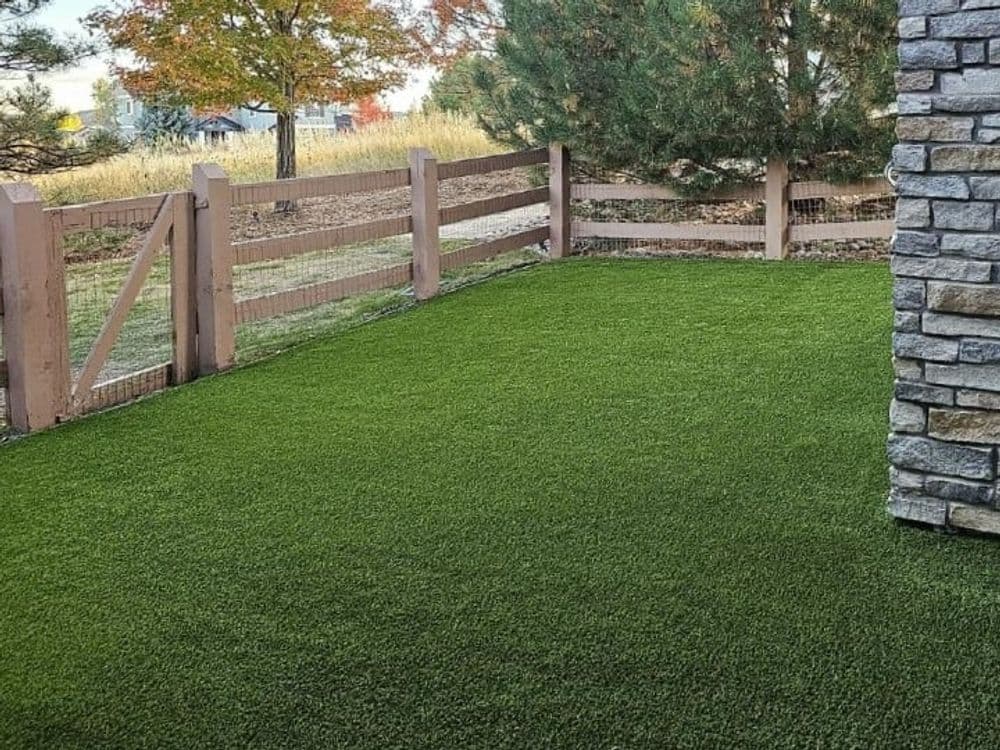 Lush green artificial grass in a fenced backyard with trees and autumn foliage.