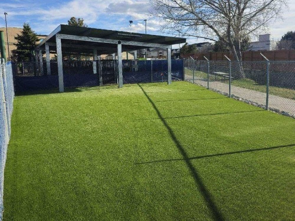 Artificial turf area surrounded by a fence and shaded structure in a pet-friendly space.