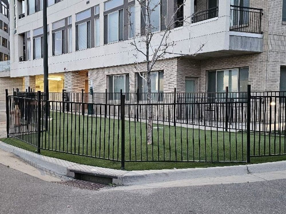 Revamping Pet-Friendly Spaces in Douglas County image