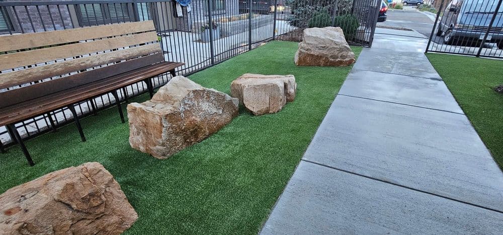 Gallery photos for Revamping Pet-Friendly Spaces in Douglas County: Image #3