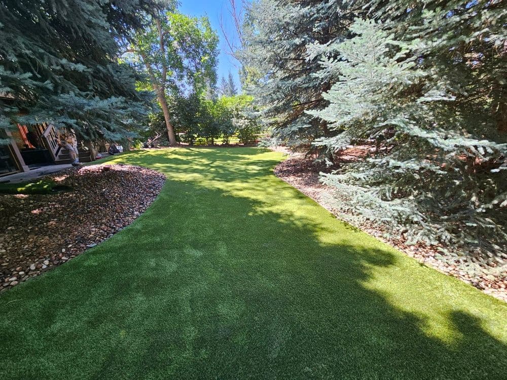 Lush green lawn surrounded by tall trees and decorative rocks in a sunny backyard.