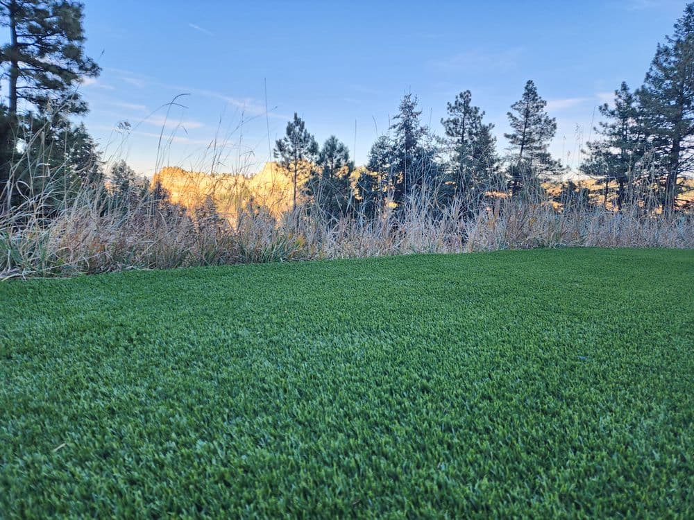 Gallery photos for Lush Lawns in Douglas County CO: Image #6