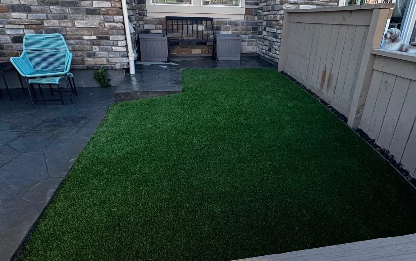 Artificial Turf Turns a Rocky Patio Corner Into a Pet-Friendly Spot image