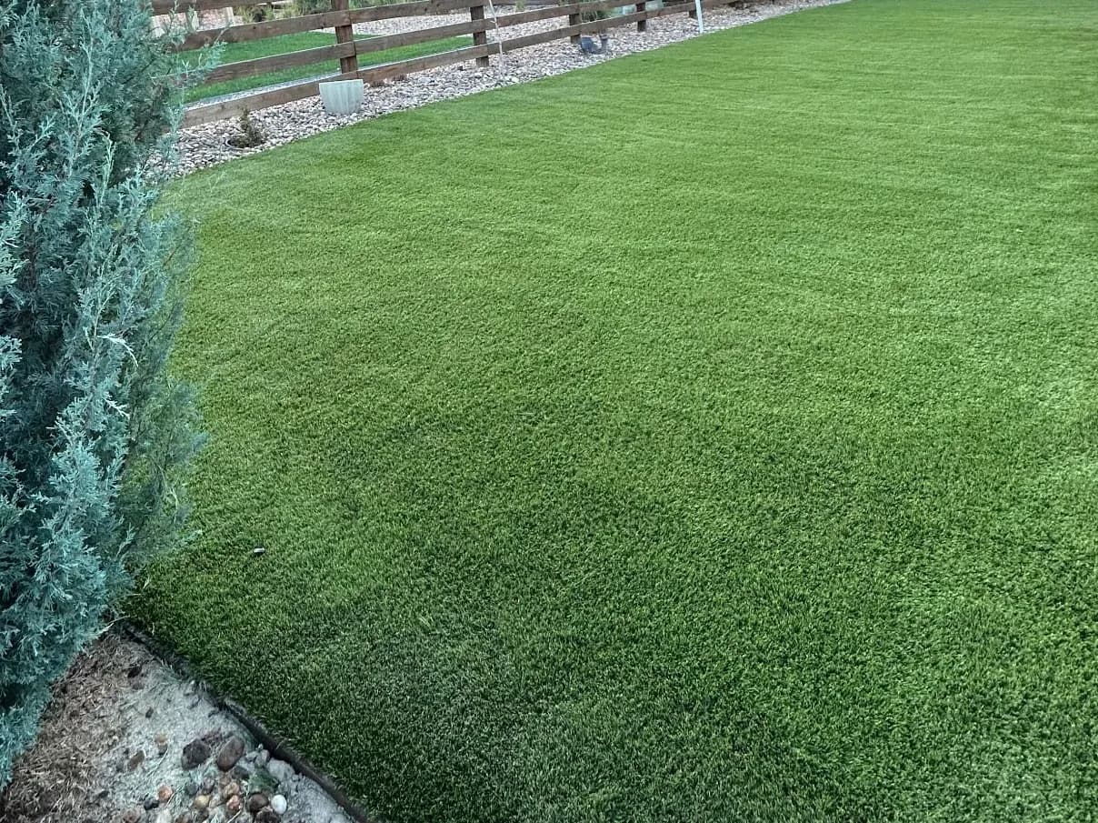 Dead Backyard Lawn Turned Into a Kid-Ready Turf Play Space image