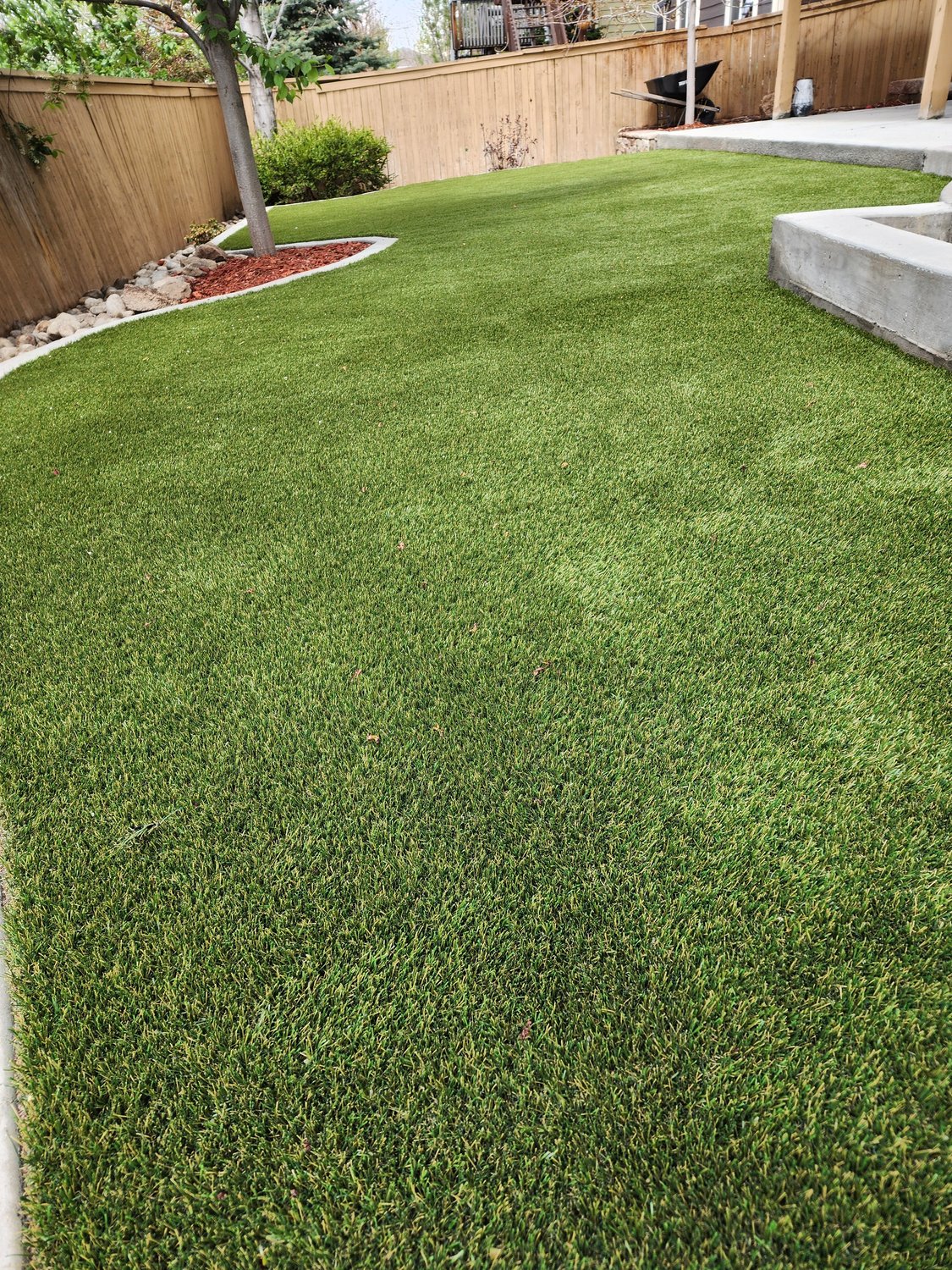 Residential backyard in Highlands Ranch
