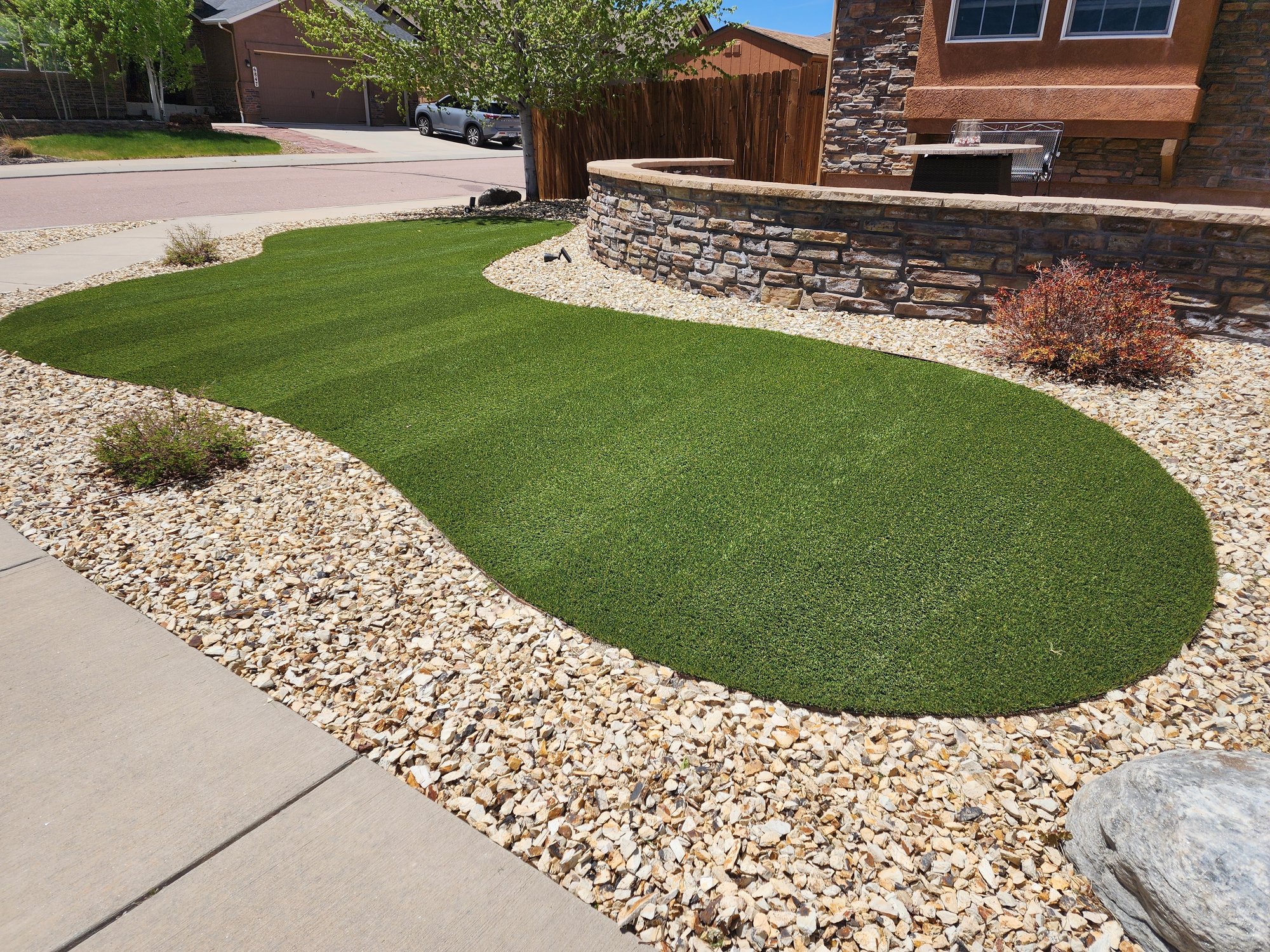 Front lawn in Colorado Springs
