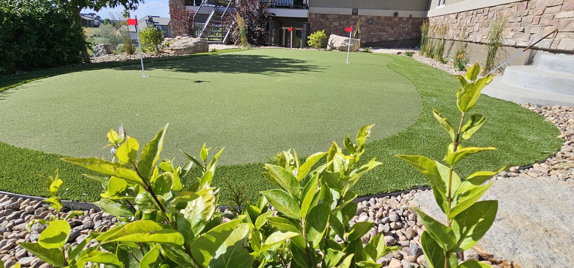 Backyard putting green