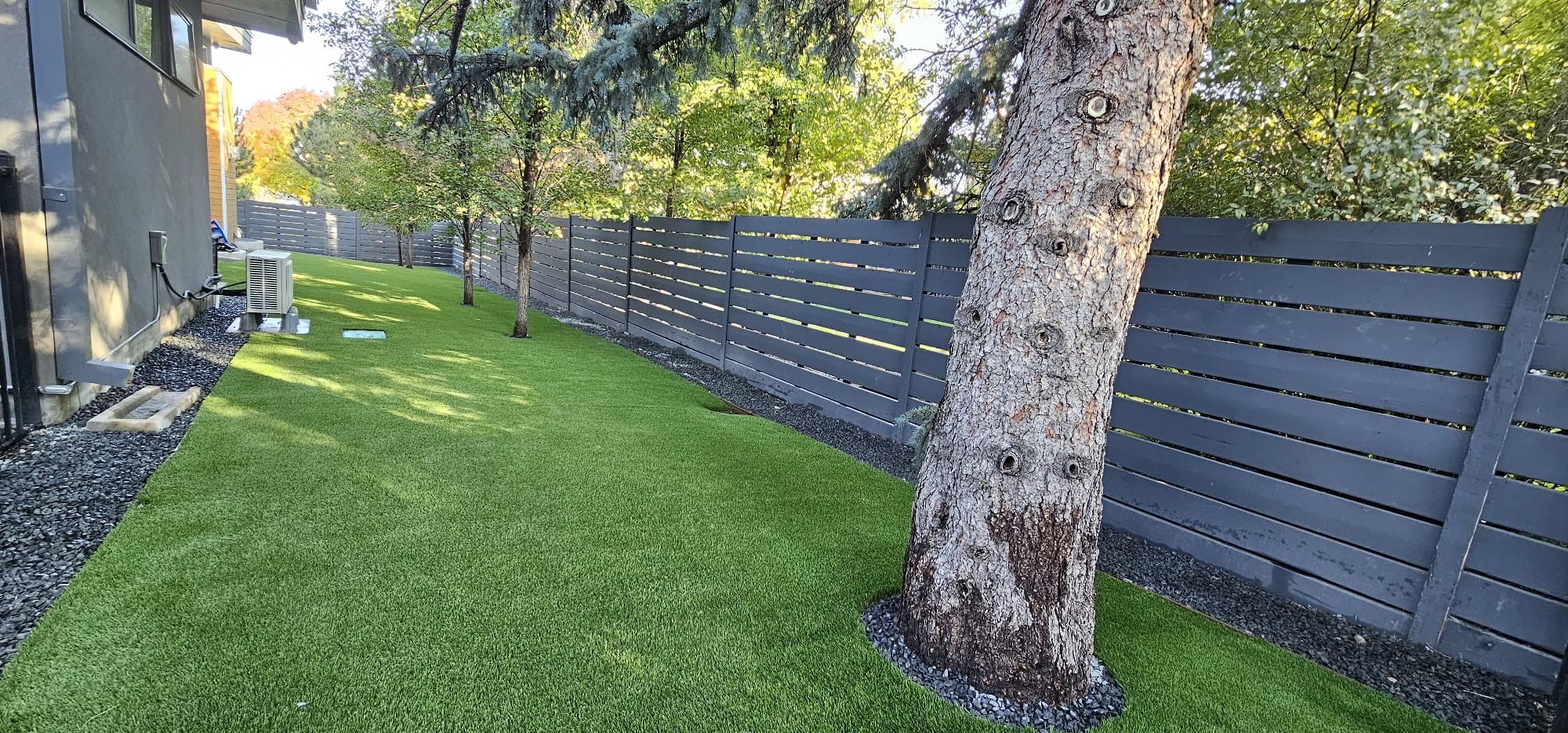 Littleton backyard