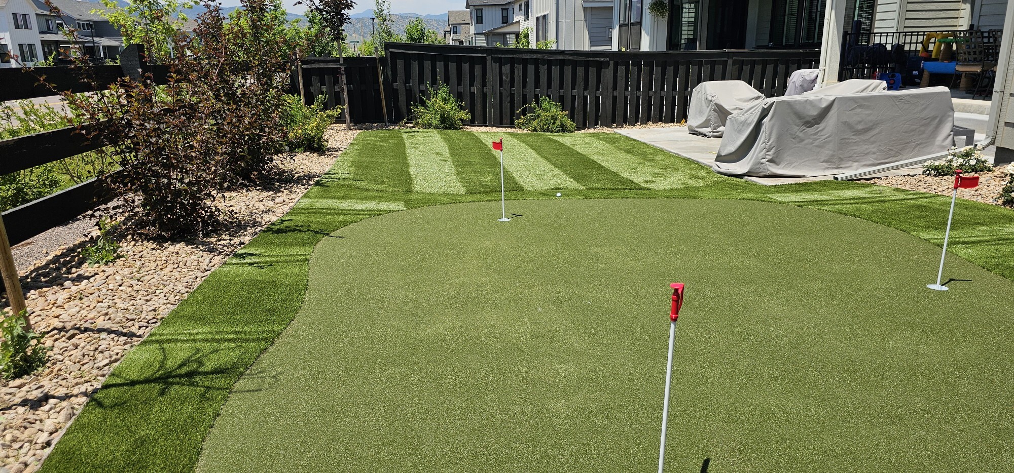Backyard lawn and putting green