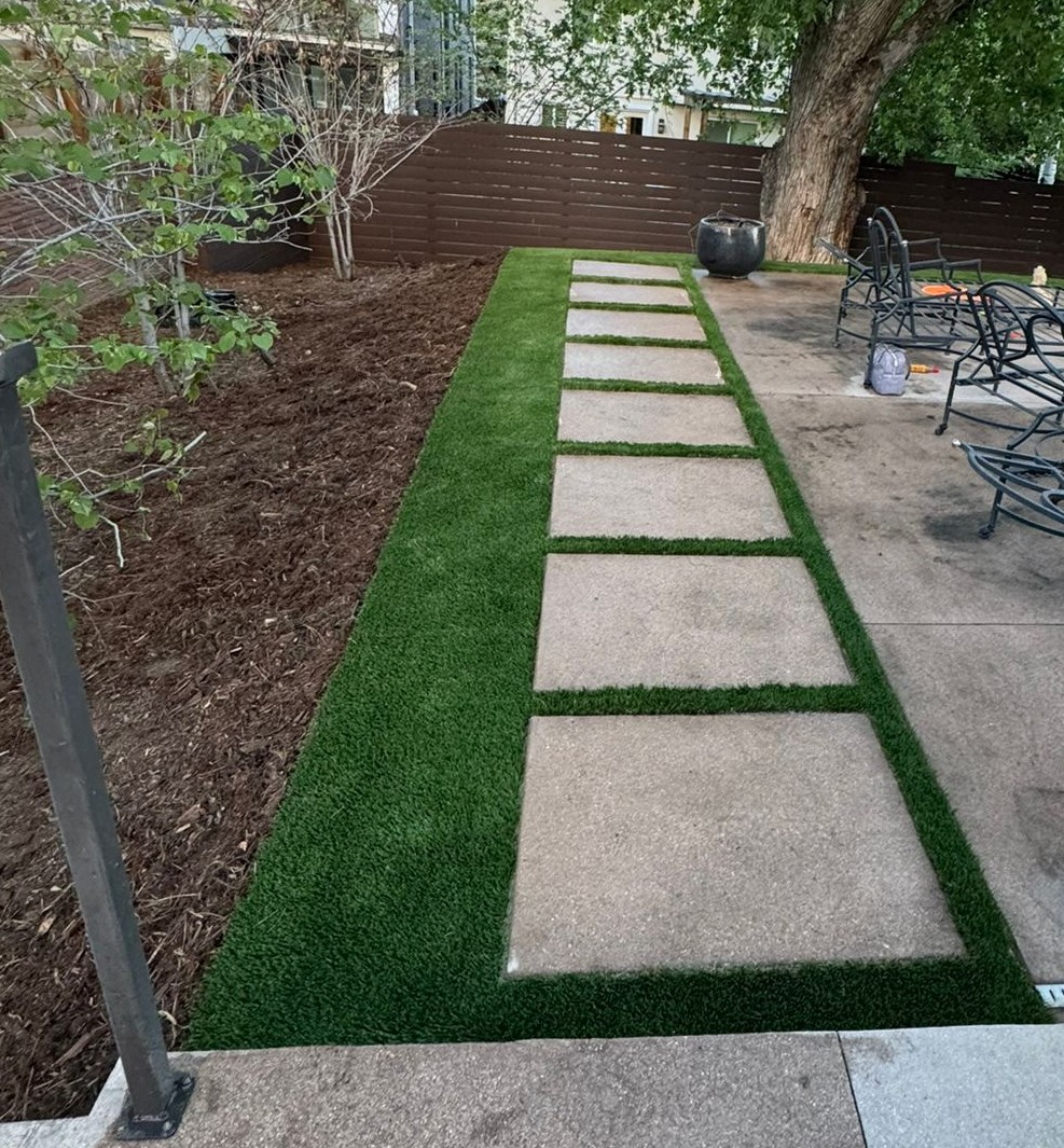 Denver backyard with concrete step stones